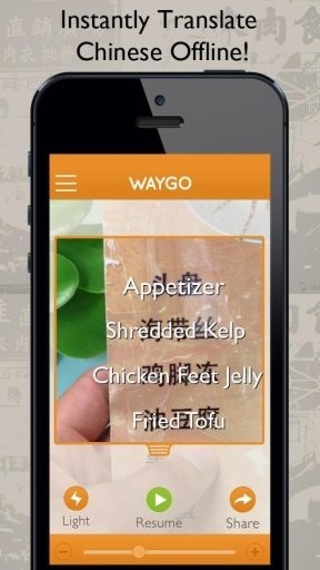 Waylens
