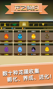 龙之契约