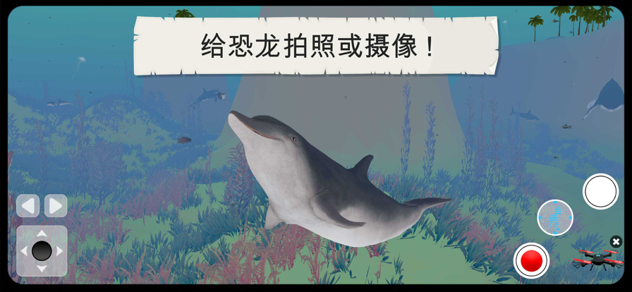 野生动物