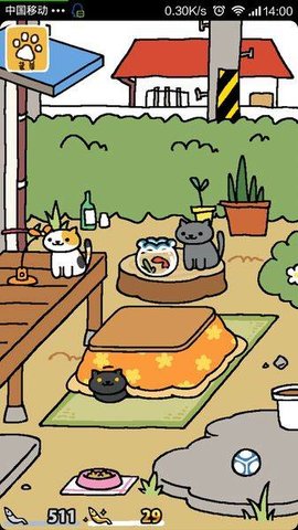 猫咪后院