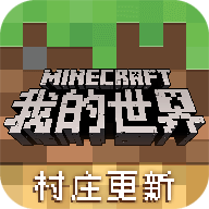 我的世界java