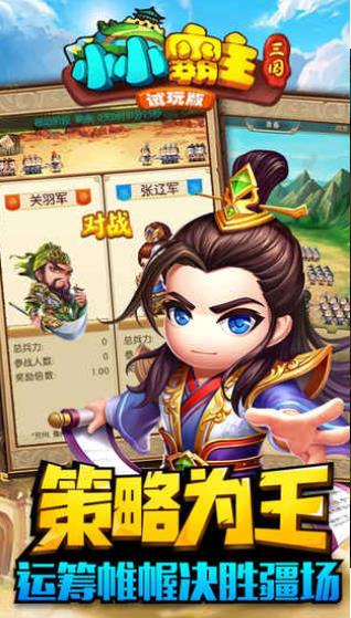 小小霸主