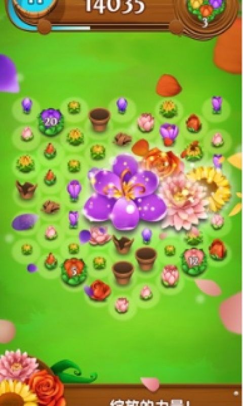 花花传奇