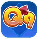 q9q9棋牌官方安卓版