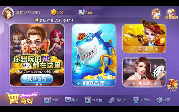 鱼丸电玩