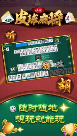 娱网皮球