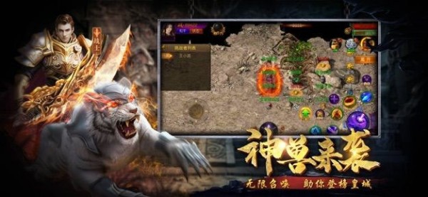龙域