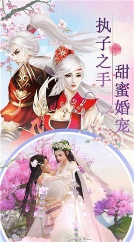 青云登仙传