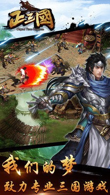 正三国满V