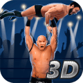 摔跤战斗革命3D