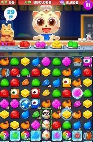 萌猫乐园