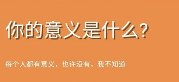 你的意义是什么鬼东西