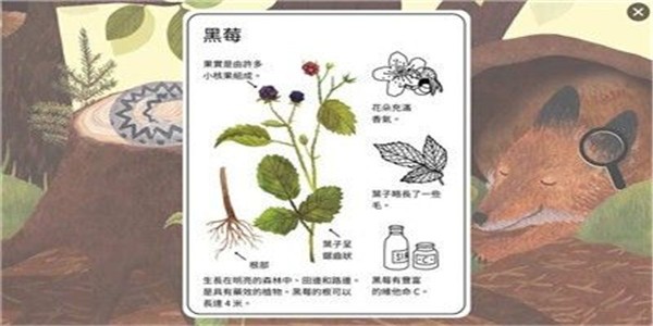 小松鼠历险记