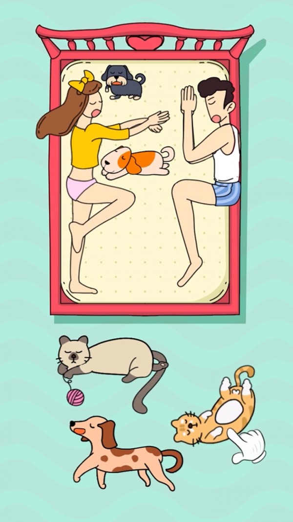 狗狗快上床