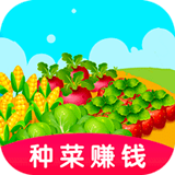 种菜赚多多
