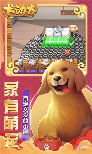 犬动力