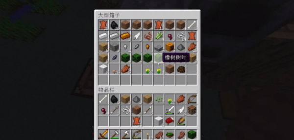 我的世界地下城中国版