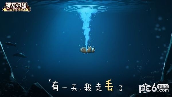 萌宠归途