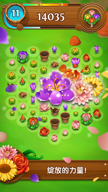 花花传奇