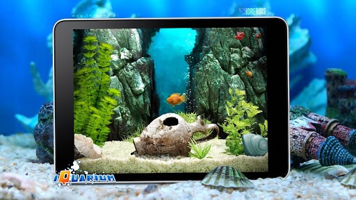 口袋水族馆