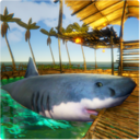木筏求生鲸鲨猎人最新版手机游戏下载