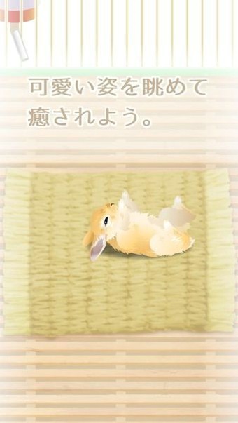 治愈系金鱼养成