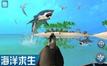 海岛求生日记