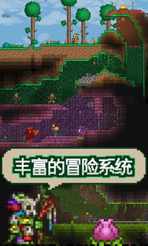 泰拉瑞亚国际版