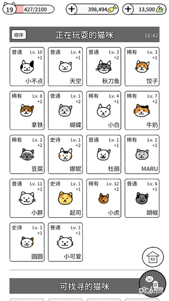 猫咪真的超可爱