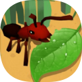 蚂蚁进化模拟器官方手机版