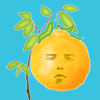 奇怪的农场