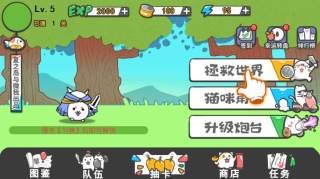 猫咪大陆