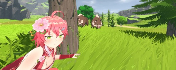 Holex空洞