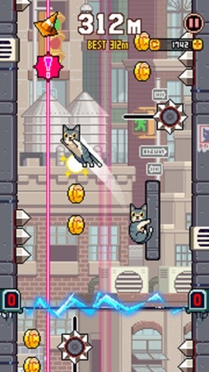 猫咪跳跳跳