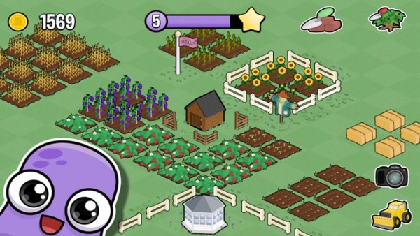 我的农场小屋
