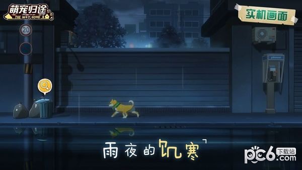 萌宠归途