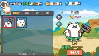 猫咪大陆