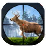猎鹿人之密林探险手机游戏安卓版