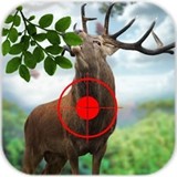 野生鹿猎人动物狩猎最新版app