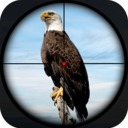 鸟类猎人狙击手手机免费版
