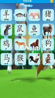 小汪汪