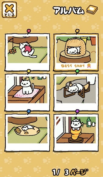 猫咪收容所