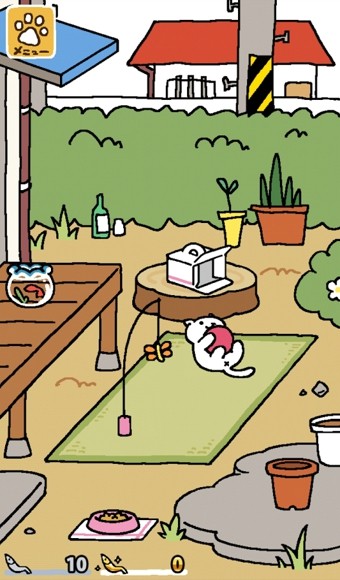 猫咪收容所
