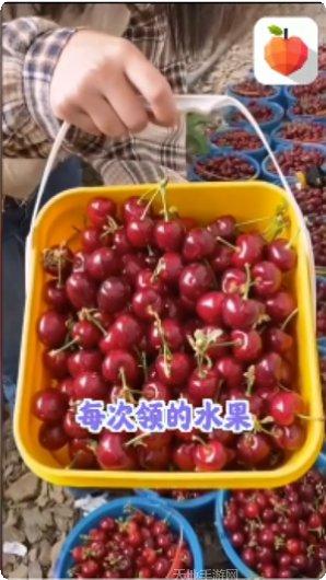 欢乐水果机游戏攻略