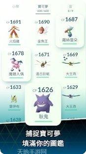 宝可梦：mega进化攻略