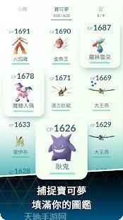 宝可梦：mega进化角色