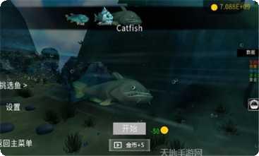 海底大猎杀2021游戏攻略