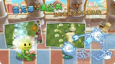 植物大战奥利给下载地址