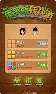 俄罗斯砖块消除下载
