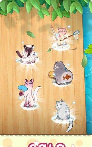 猫咪合成屋红包版最新版本